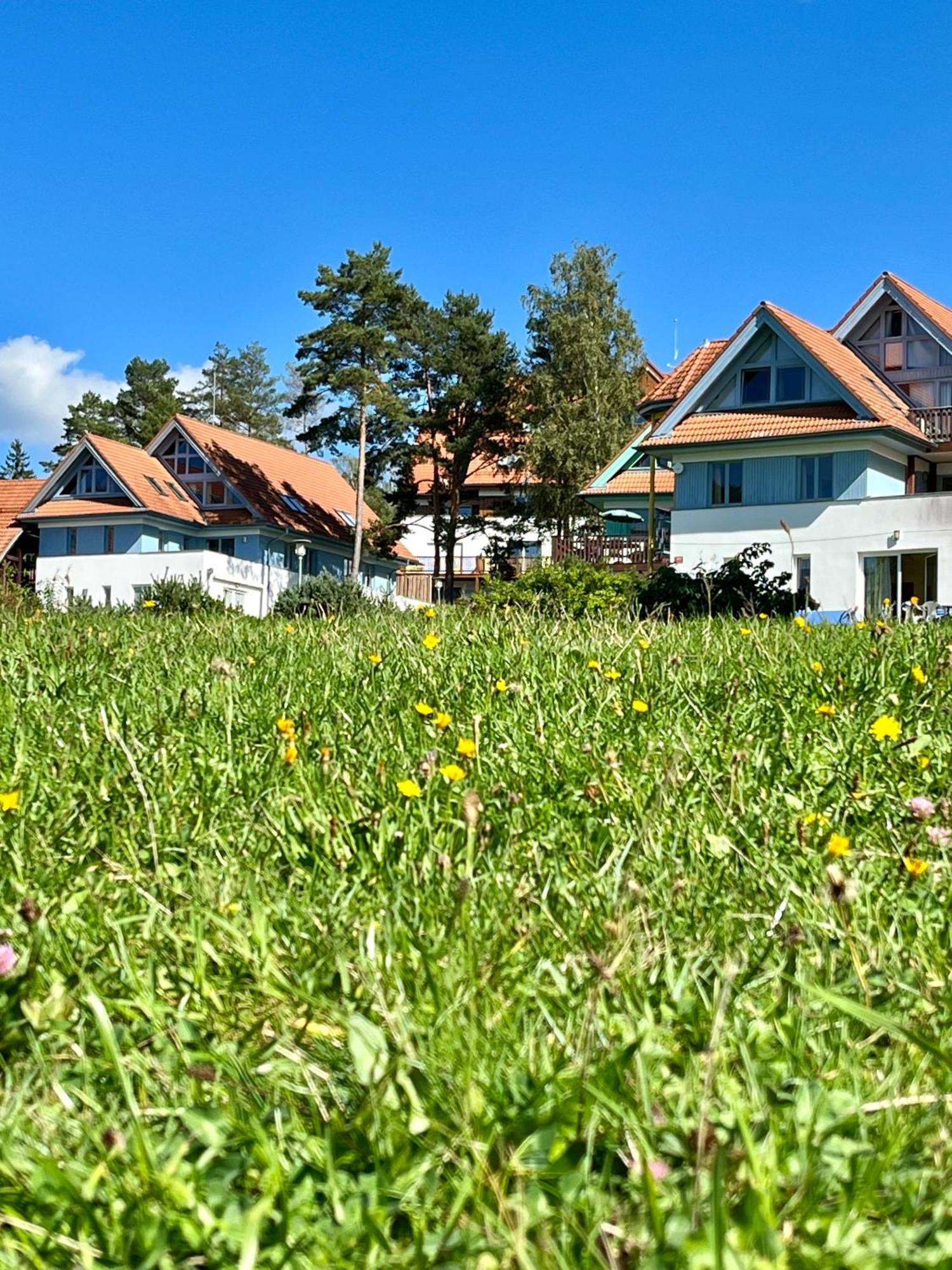 Lipno Beach Apartment Lipno nad Vltavou Bagian luar foto